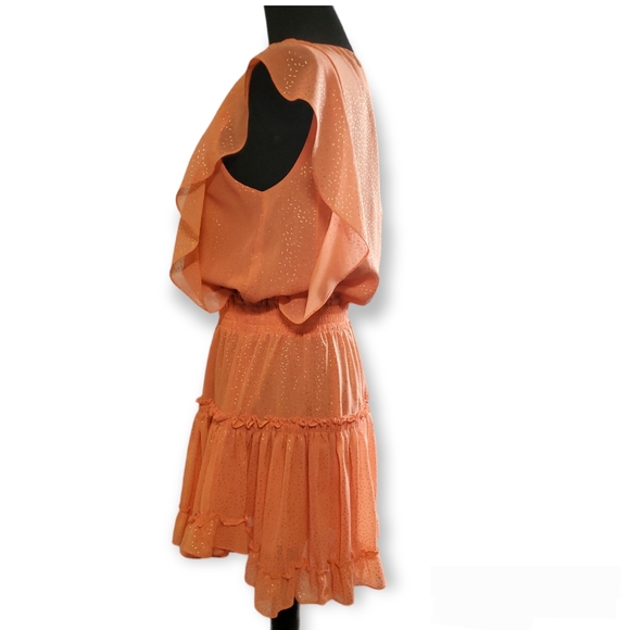 MISA LOS ANGELES small (S) coral peach gold foild confetti ruffles mini dress - Picture 3 of 16